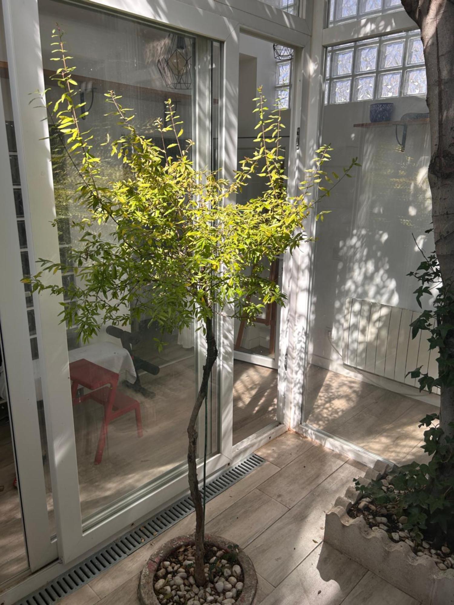 Casa Rustica En Madrid Recien Reformada Villa Kültér fotó
